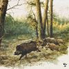 WILD Wild Boar Napkins-253