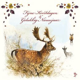 Rien Poortvliet kerstboxje natuur BRANDGANZEN – JONGE VOSSEN