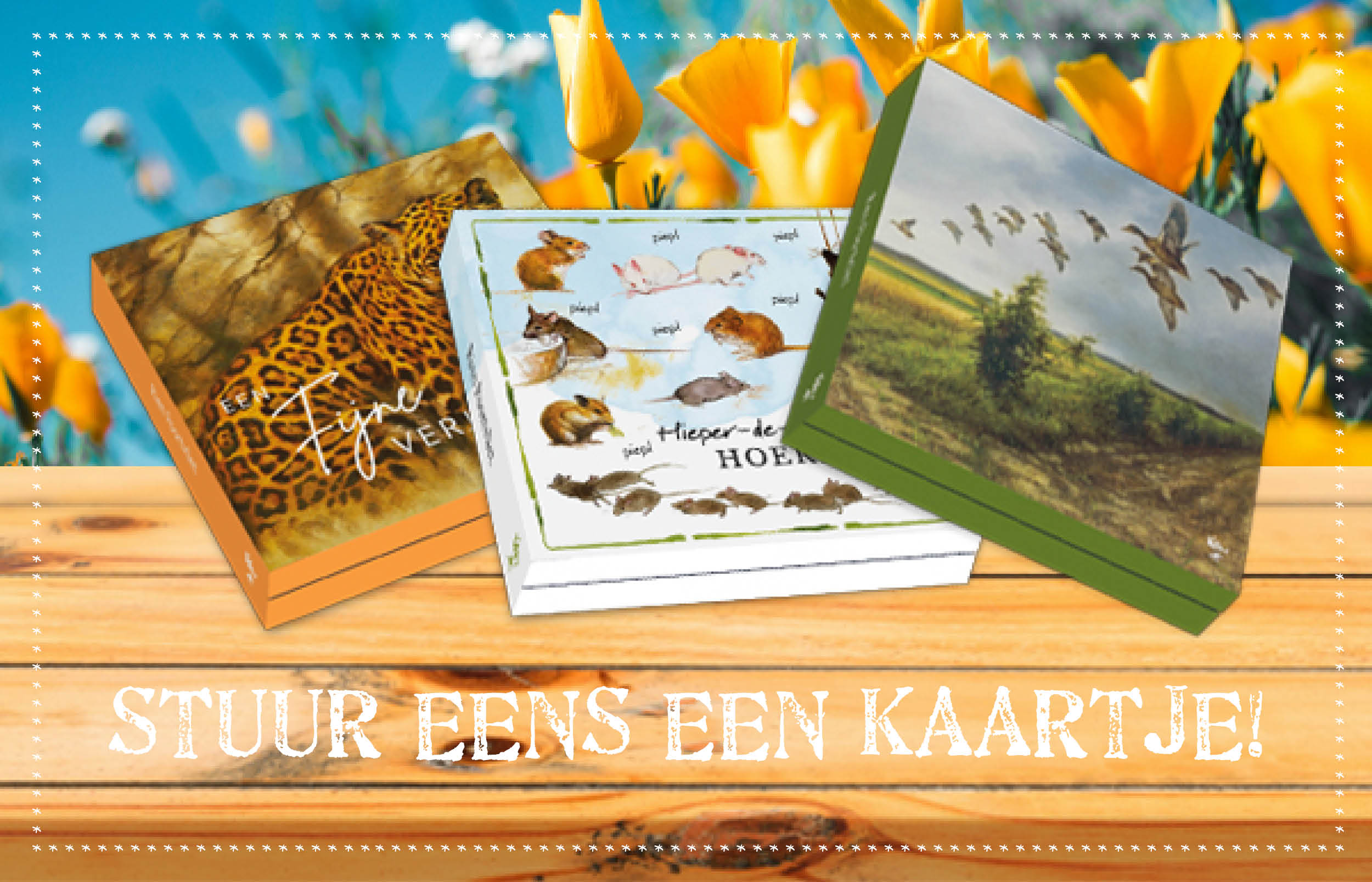 Banner_Kaartenmapjes_voorjaar2025