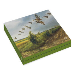Rien Poortvliet kaartenmapje VOGELS