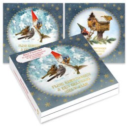 Rien Poortvliet kabouter kerstkaartenmapje / Muis in vogelhuisje - Vogels voeren